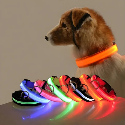 Luminous LED Nylon Dog Collar