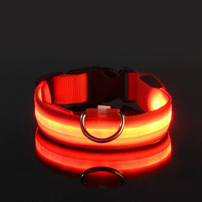 Luminous LED Nylon Dog Collar