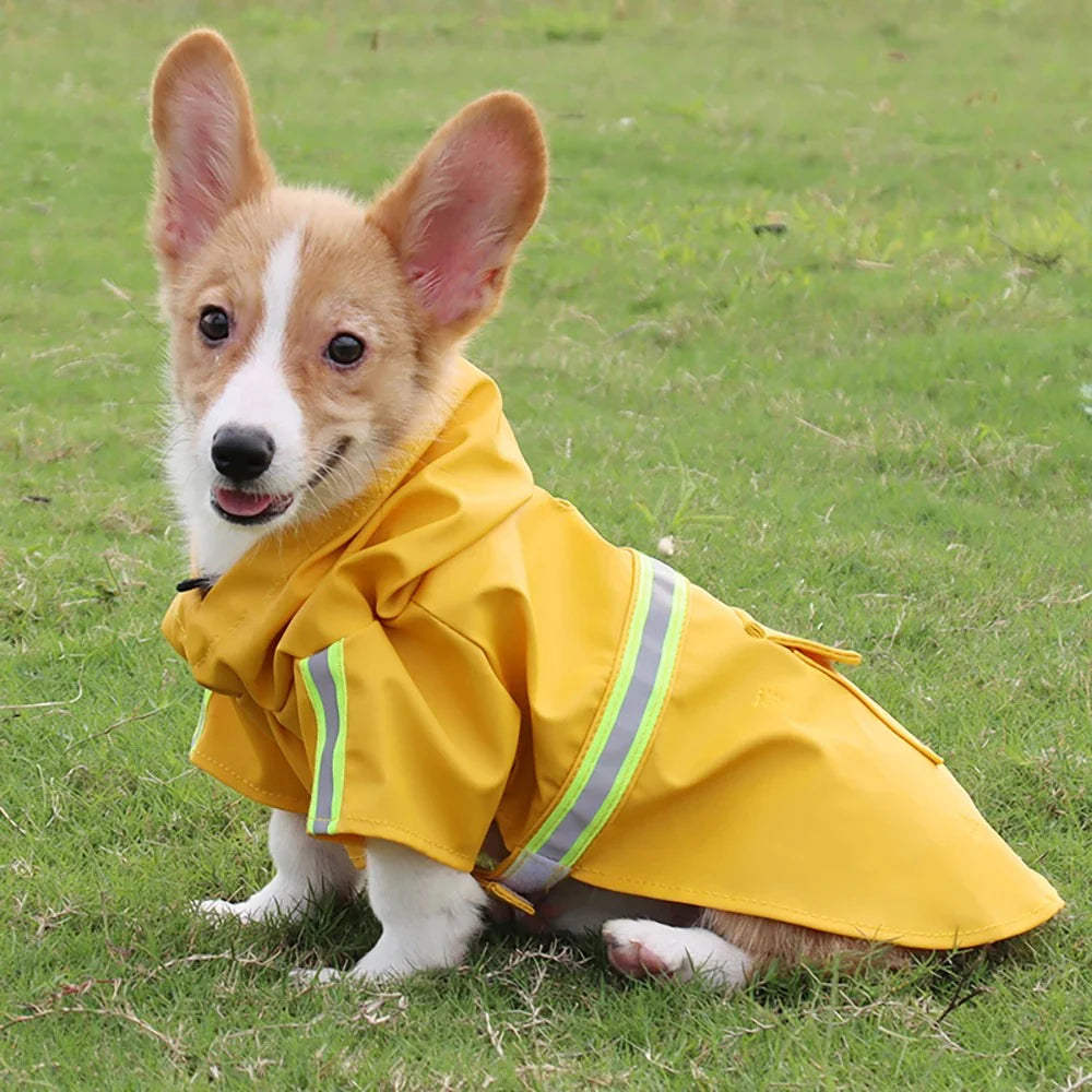 Corgi Cloak Style Dog Raincoat